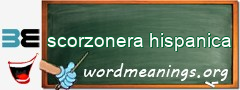 WordMeaning blackboard for scorzonera hispanica